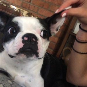 Meet your Posher, Daniel